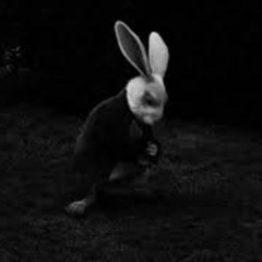 Don't follow the white rabbit