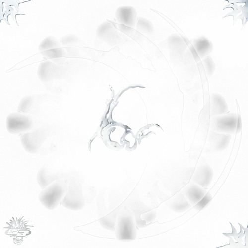 HOFFMAN - Slowly Turning Silent