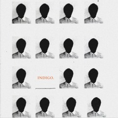 INDIGO (w/ Fluc)