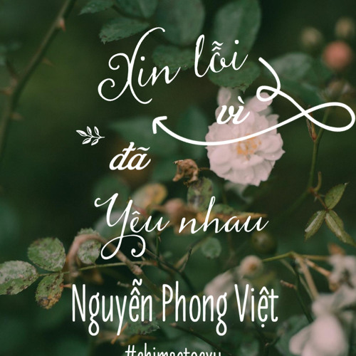 Thơ | Xin Lỗi Vì Đã Yêu Nhau | Nguyễn Phong Việt | Người đọc: Chim Sẻ Tóc Xù