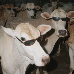 DJ ALIVE KREWELLA X FEEL SO GOOD STYLE KONDANG VIRAL TIKTOK 2025