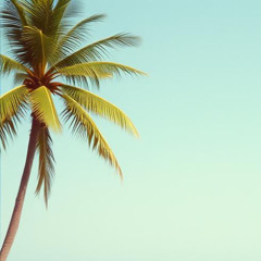 Sommer bleib