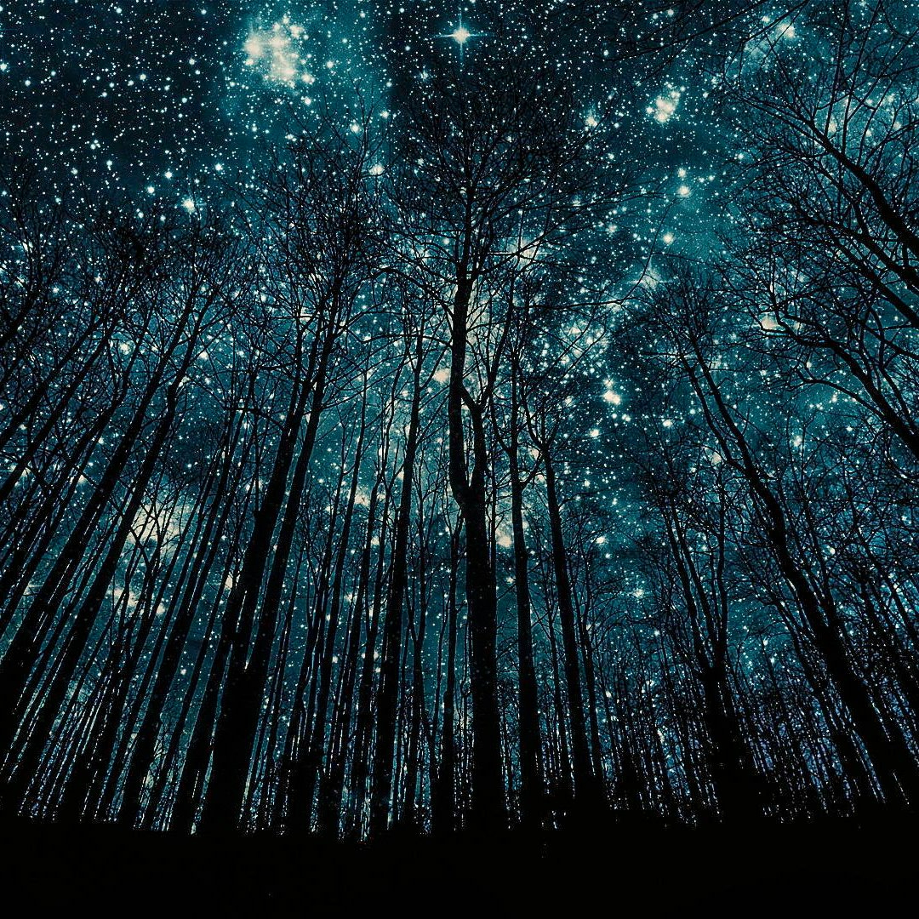 Leaving Laurel feat. Chris Martin - A Sky Full Of Stars (J.Young Vocal Remix) thumbnail