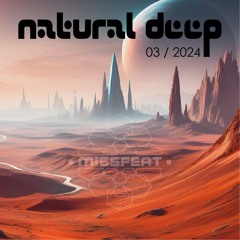 ND2024-3