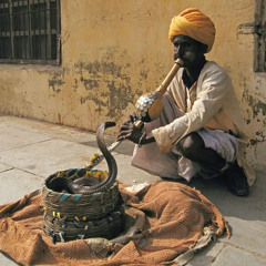The Snake Charmer’s Theme