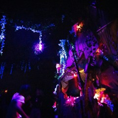 Jon Wolff @ Mission Escape 2024 - Cosmic Jungle