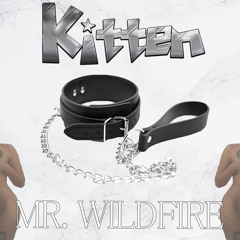 Mr. WIldFire - Kitten