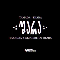 Shara (Takedza & Nepokritov Remix)
