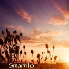 Smarrito