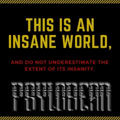 PsyloBean - Insane World