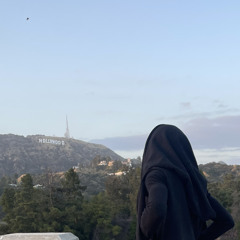 hollywoodhills - southsidesilhouette (reid)