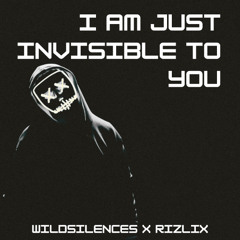 Wildsilences x RiZLiX - I Am Just Invisible To You