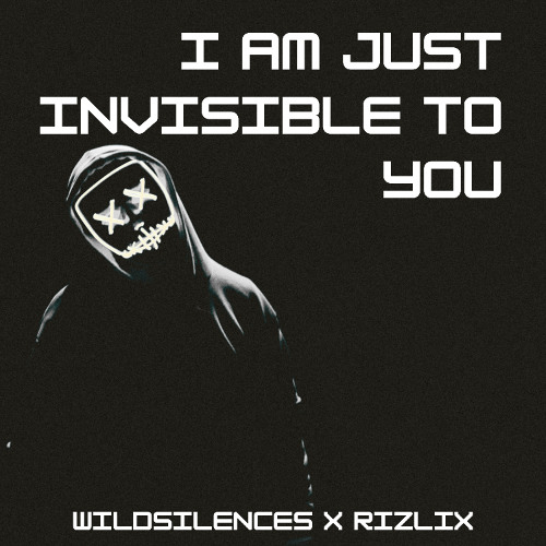 Wildsilences x RiZLiX - I Am Just Invisible To You