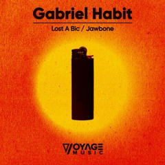 Gabriel Habit - Lost A Bic - Voyage Music (VM020) (OUT NOW)