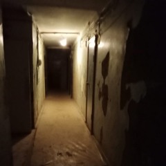 Alpha-pvp ( bones x night night lovell )