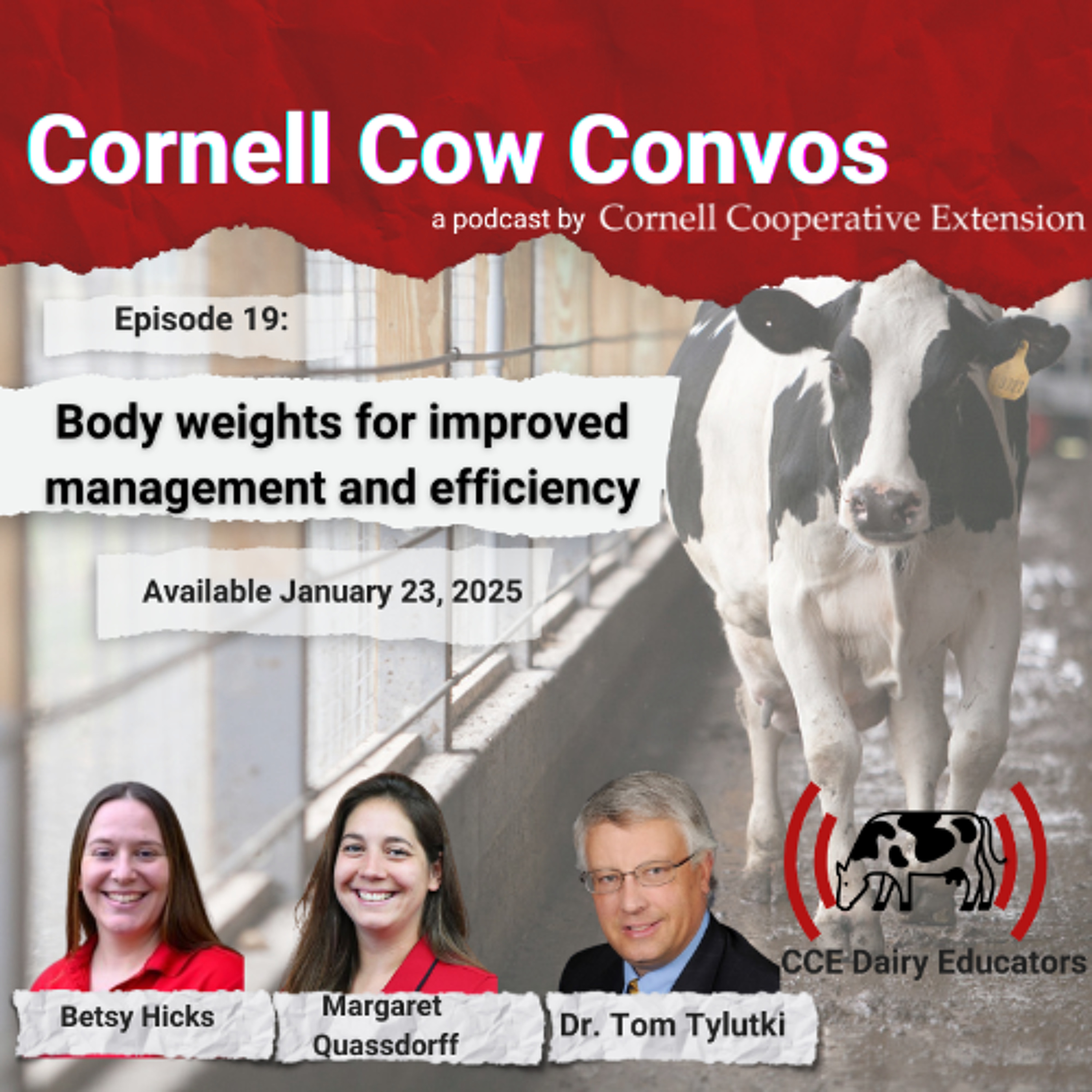 CCE DAIRY EDUCATORS
