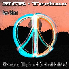 BGR (Beat Groove Rhythm) - What Have You Taken - Out Now On Peace Vol 1 - MCR Techno