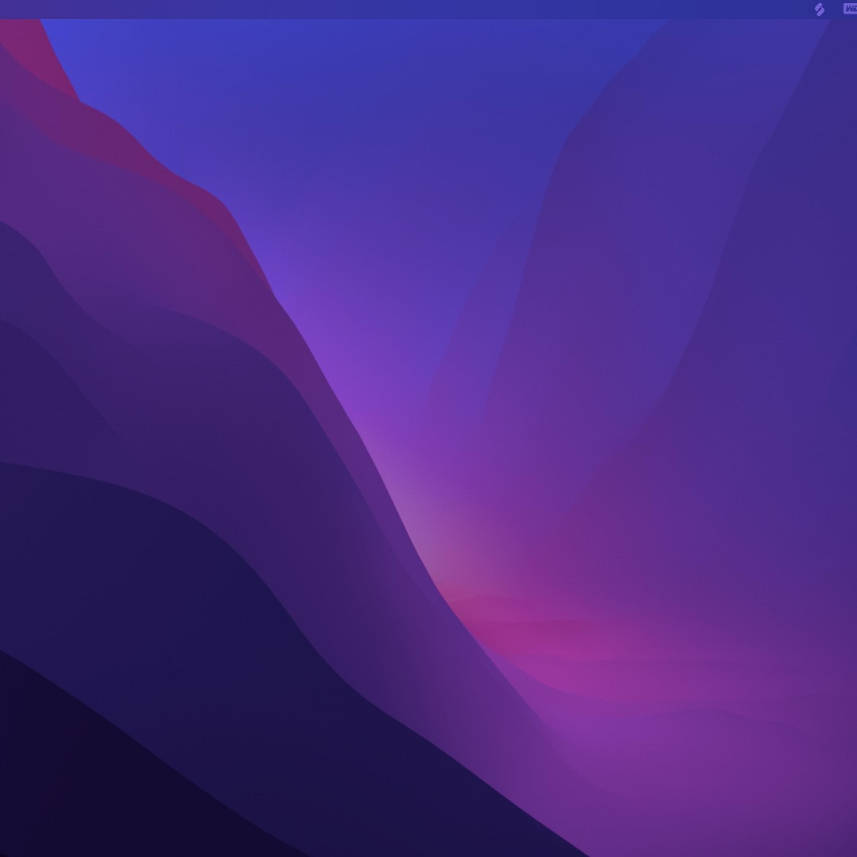 Burch\'s Audio Experience