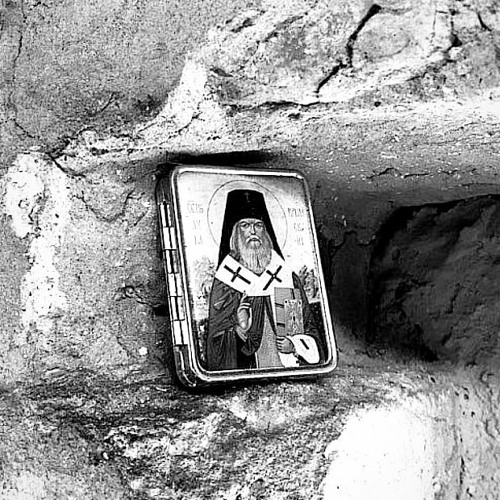 [BOTANIKA - releases]