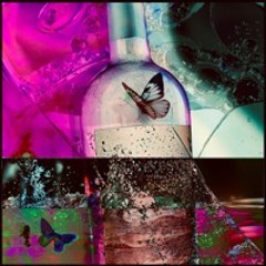 dusty wine bottles