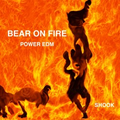 Bear On Fire Power EDM