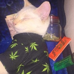 WEEDTAPE1