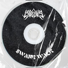 LSDezUS - SWANK WALK