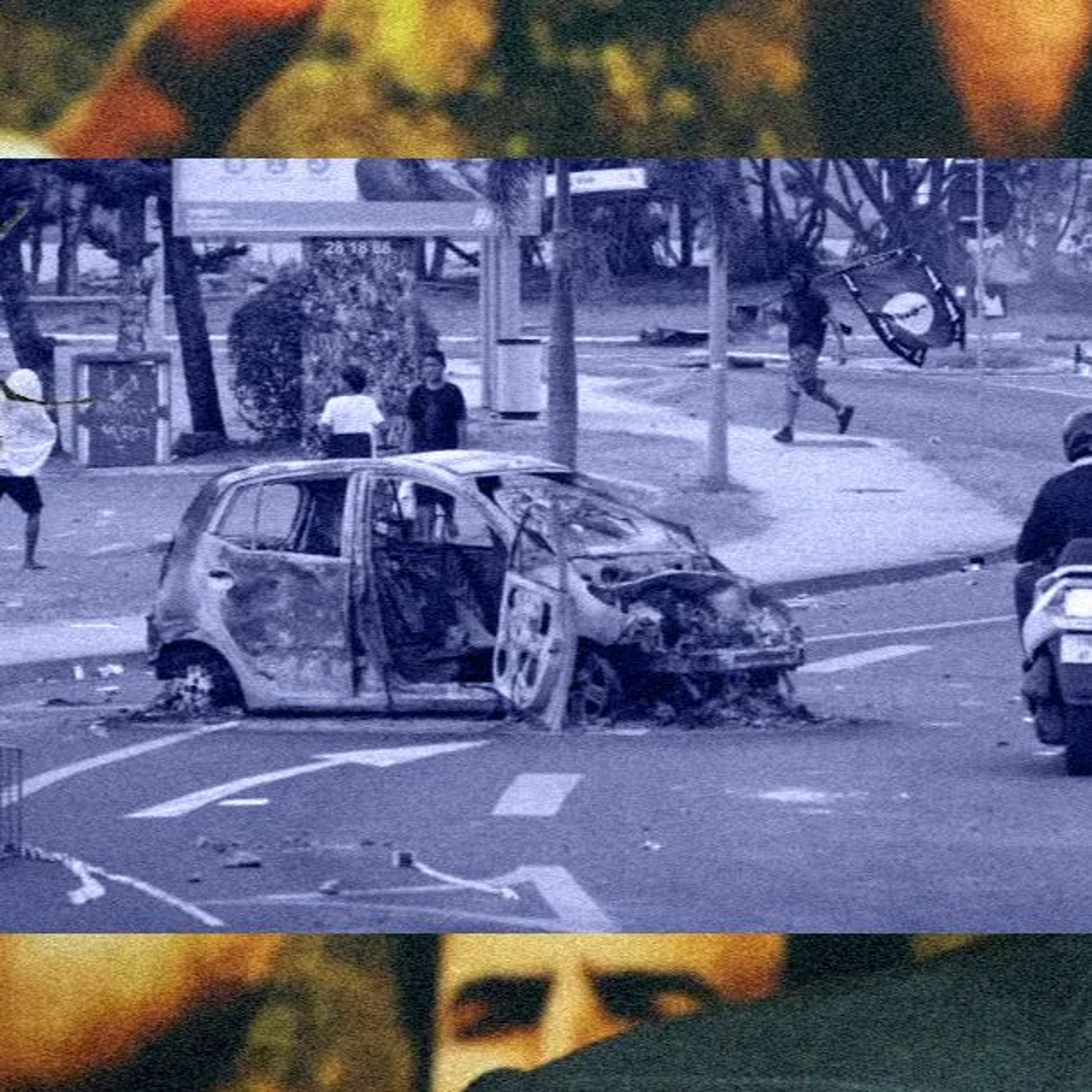 Іх норавы: Бунт на краі свету, нашэсце мух і дэбаты пра Копалу