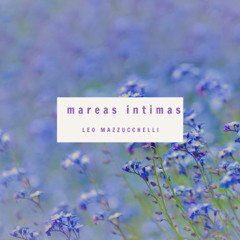 Mareas intimas-handpam - duduk - piano -strings-