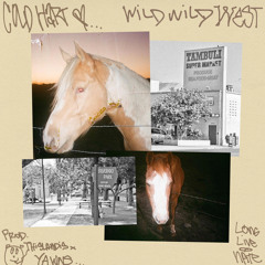 WILD WILD WEST (PROD THISLANDIS, YAWNS)