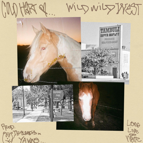 WILD WILD WEST (PROD THISLANDIS, YAWNS)