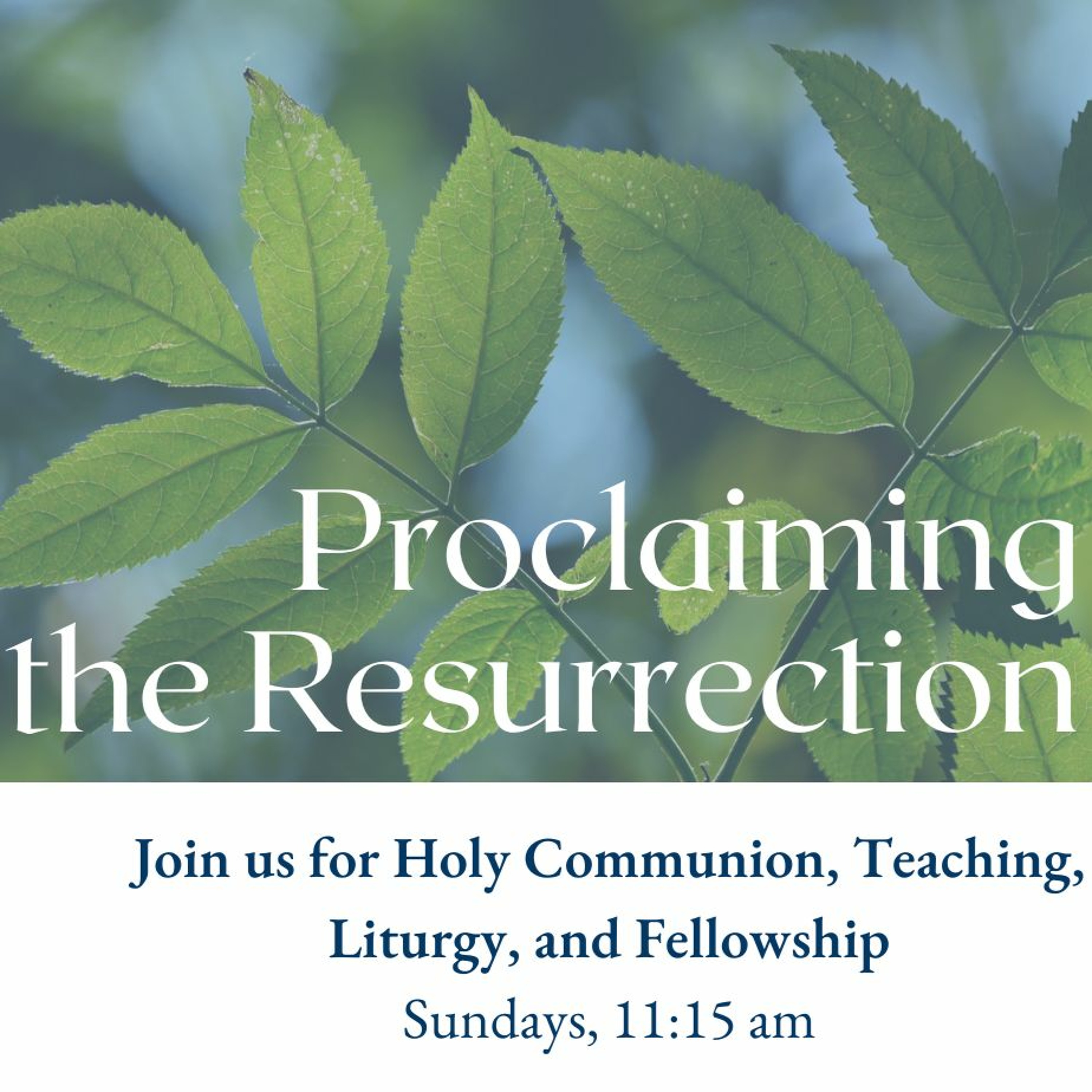 2024-04-14 - 3rd Sunday of Easter - Sermon "Proclaiming the Resurrection I" episode artwork