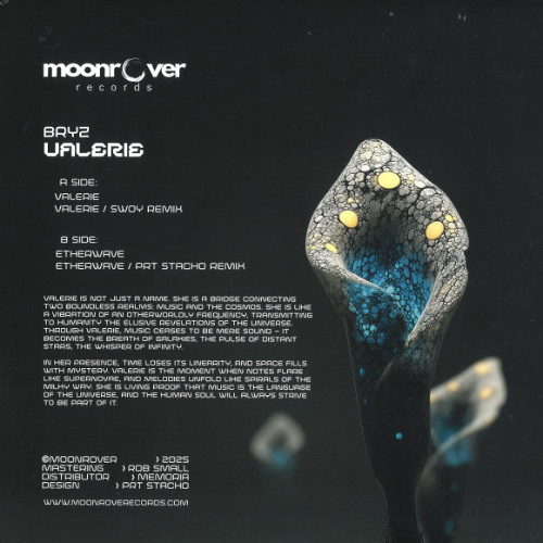 Premiere: B2. BRYZ - Etherwave (PRT Stacho Remix) [MNRVR006]