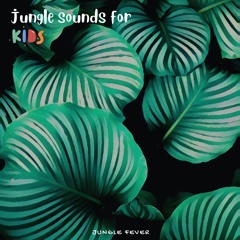 Jungle Fever - Soft Rain In The Jungle
