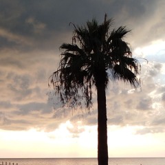 Sun Set