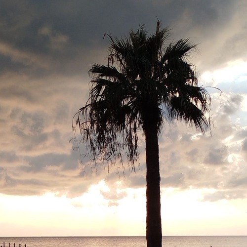 Sun Set