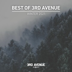 Best Of 3rd Avenue | Winter 2021