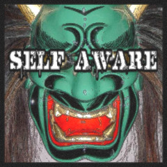 PHXNKWAVE - Self Aware