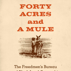 40 ACRES Freestyle