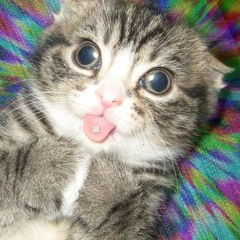 Nekoglai - разрывная (tiktok mashup гумми)