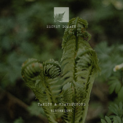 Tanith & Heavenchord - Birthnight [ Secret Domain #74 ] FREE DL