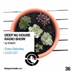 Ibiza Global Radio - Deep Nu House by SO&SO Episode 036