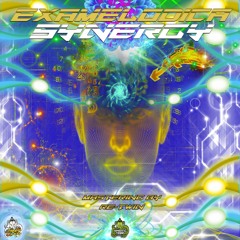 ExaMelodica - Synergy (NAASHTA Records Series) OUT NOW!!