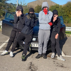 grafting - paddy