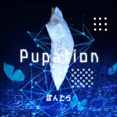 Pupation