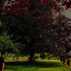 Shore 09-35 09Aug.mp3