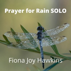 Prayer For Rain SOLO