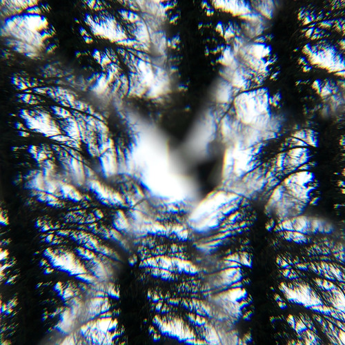 The Witch's Vortex