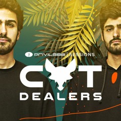 Cat Dealers | Privilège Sessions