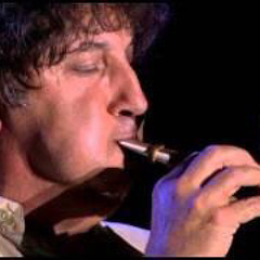 Peter Gabriel - The Feeling Begins (Still Growing Up).mp3